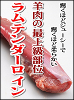 �����e���_�[���C��