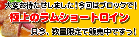 �����V���[�g���C���o�i�[