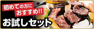 お試しセット