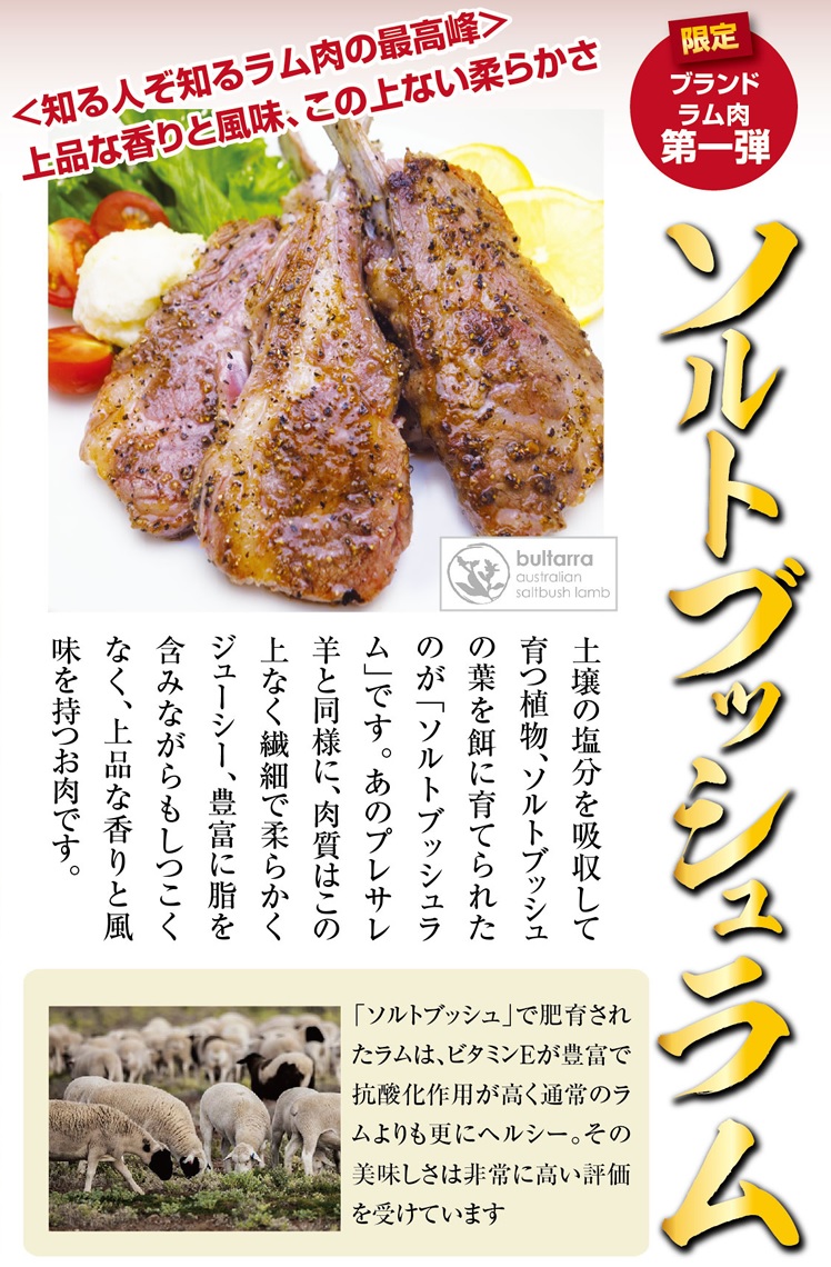 ソルトブッシュラム